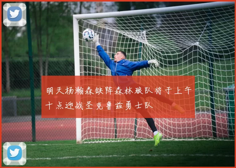 明天杨瀚森缺阵森林狼队将于上午十点迎战圣克鲁兹勇士队