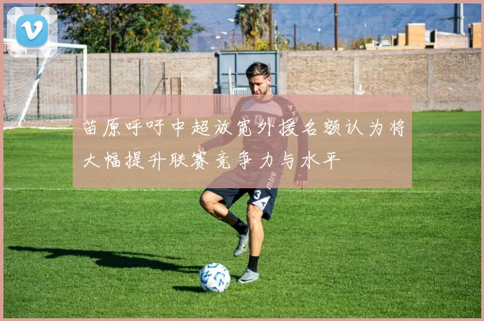 苗原呼吁中超放宽外援名额认为将大幅提升联赛竞争力与水平