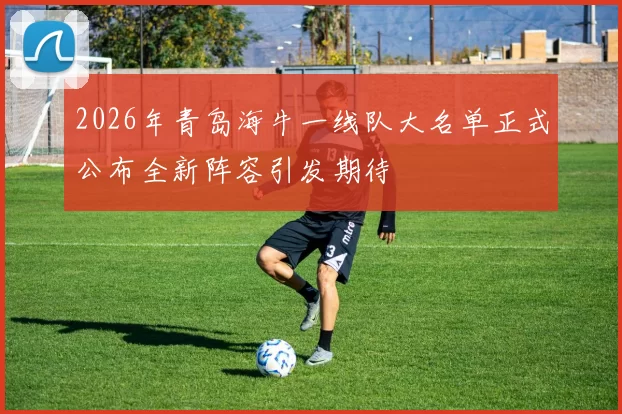 2026年青岛海牛一线队大名单正式公布全新阵容引发期待